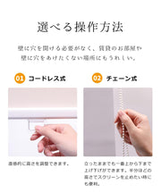 サイズオーダー ロールスクリーン つっぱり式