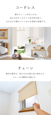 サイズオーダー ロールスクリーン つっぱり式