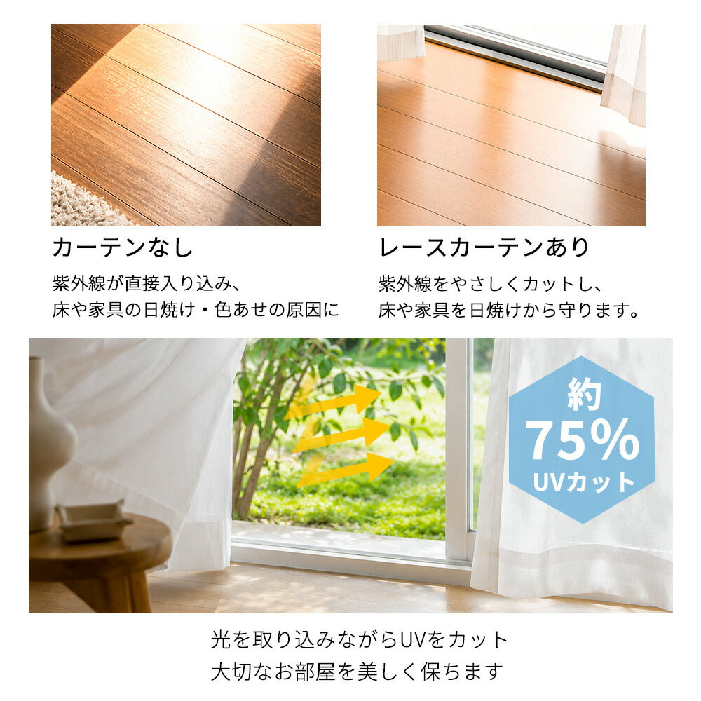 遮像レースカーテン 2枚組 商品説明画像
